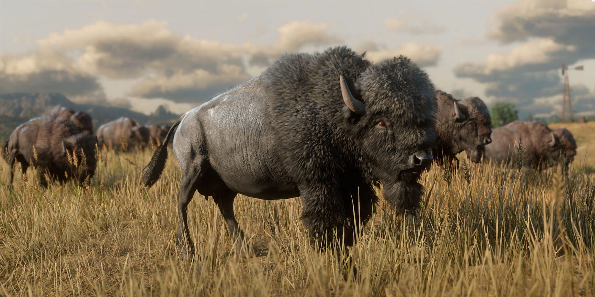                 Legendary Buffalo in Red Dead Online