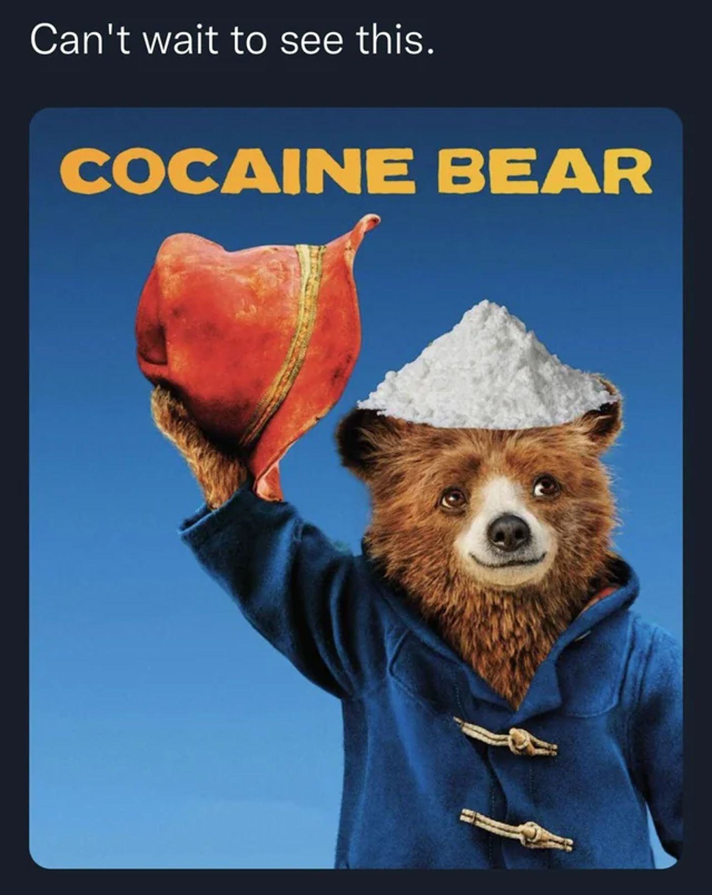 Cocaine Bear Reddit Meme with Paddington Bear