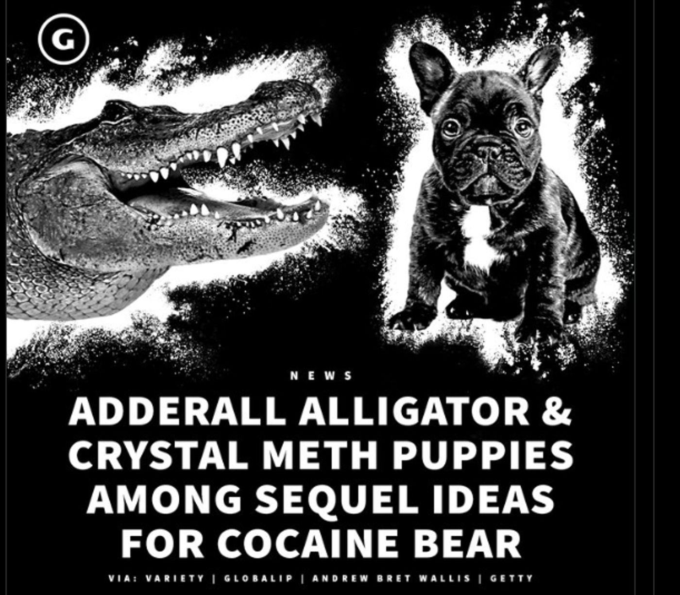 Cocaine Bear Twitter Meme Related to Adderall, Alligator and Meth Puppy