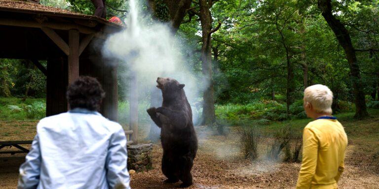 11 Best Cocaine Bear Memes