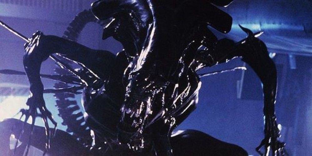 Xenomorph Queen from Aliens 