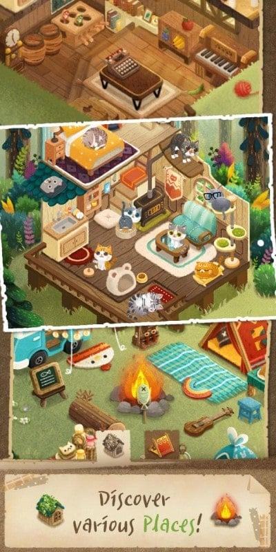 secret kitty jungle apk