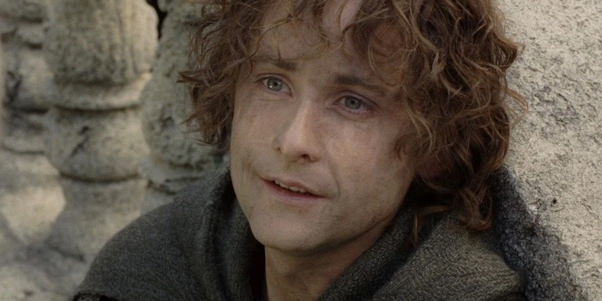 lord of the rings happy pippin sad