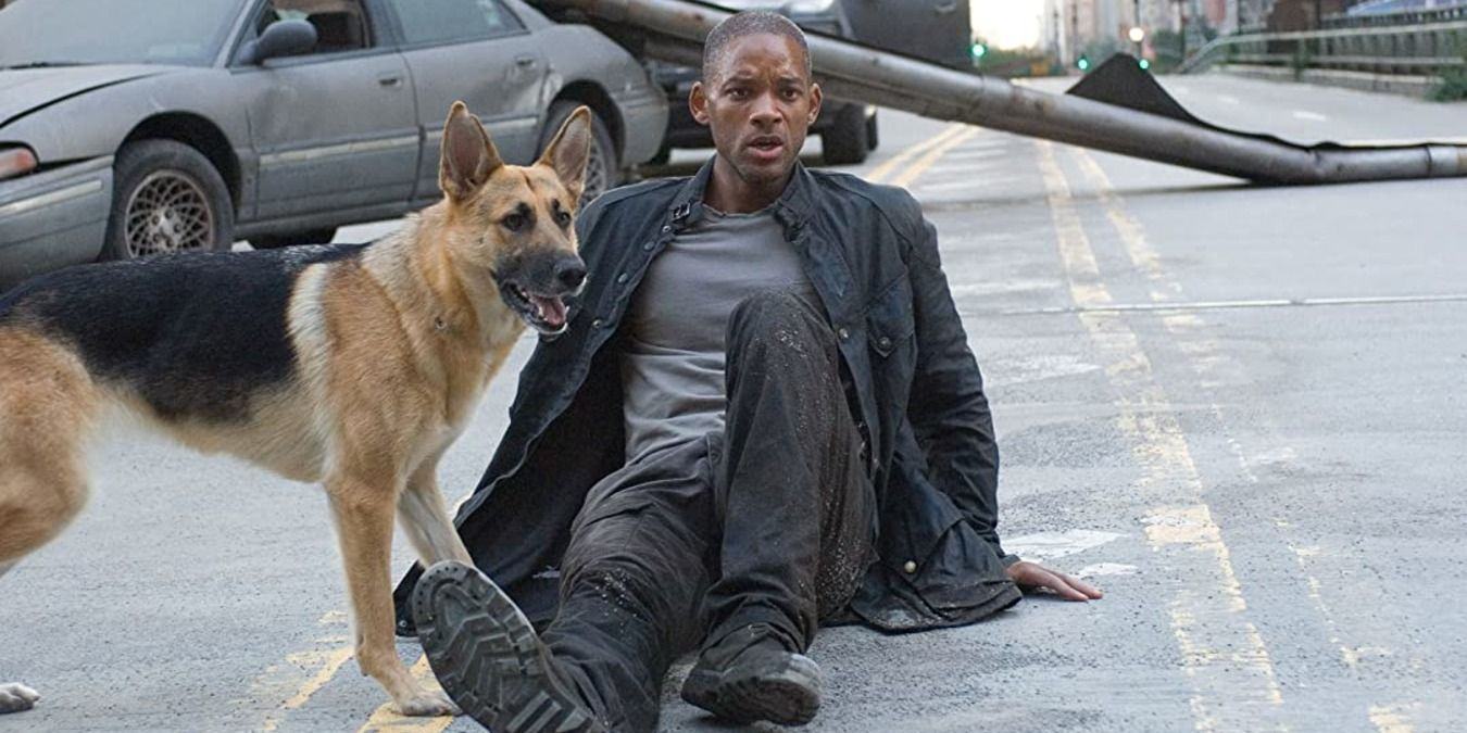 Robert lying on the street with Sam by his side in I Am Legend