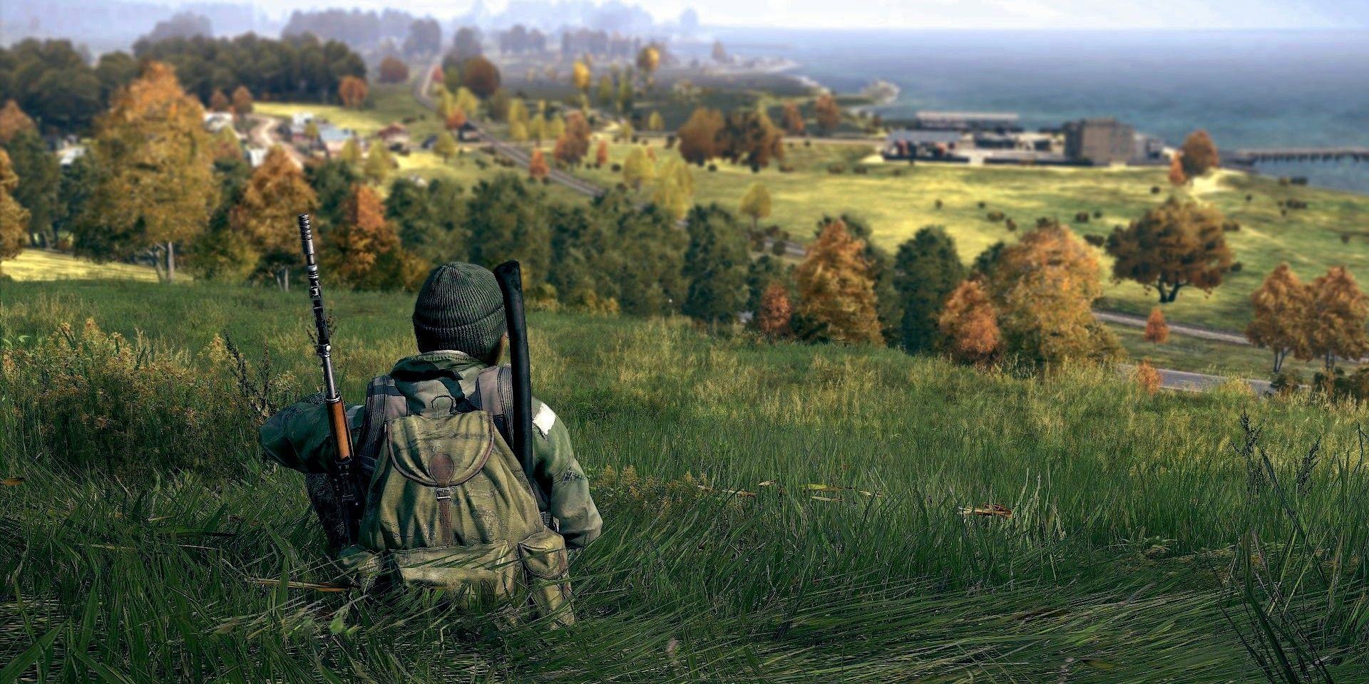 DayZ players look at the town