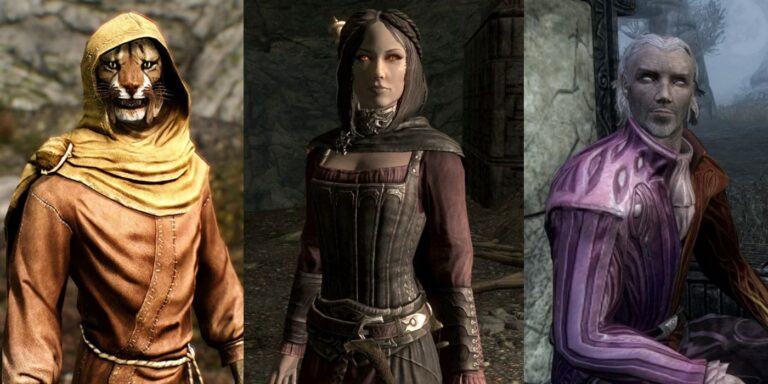 Best Skyim NPCs Every Dragonborn Will Always Remember