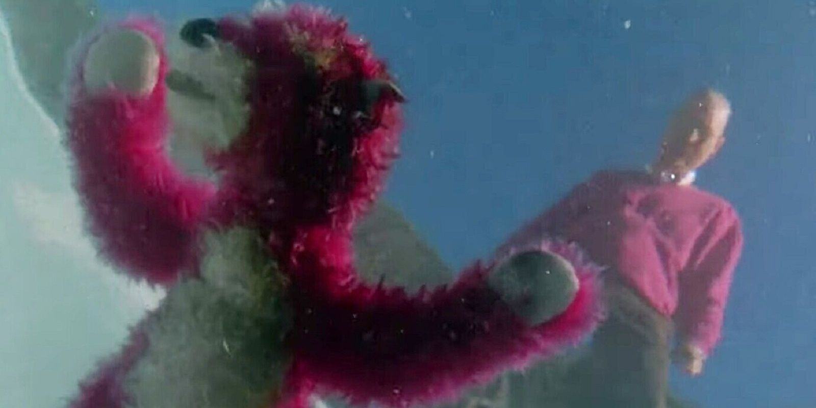 Walter found a pink teddy bear in the pool