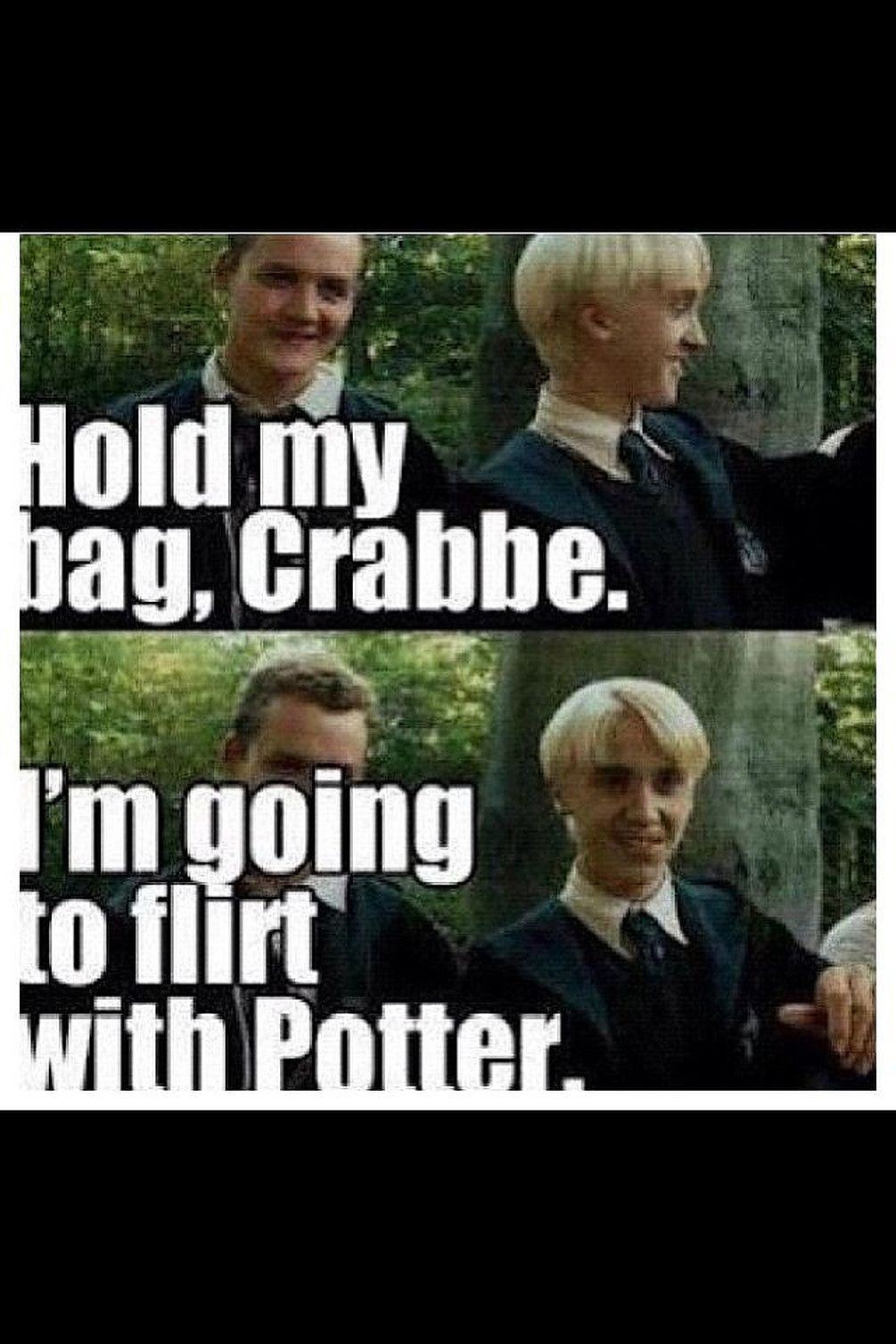 Draco Harry expression bag