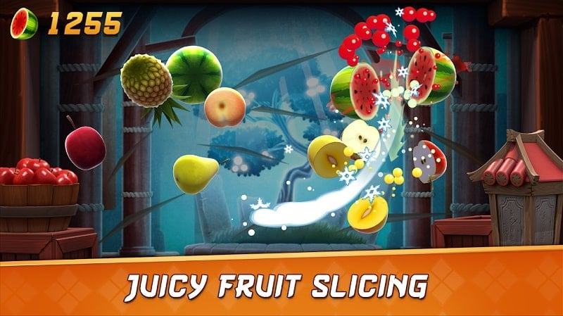 Fruit Ninja 2 Mods