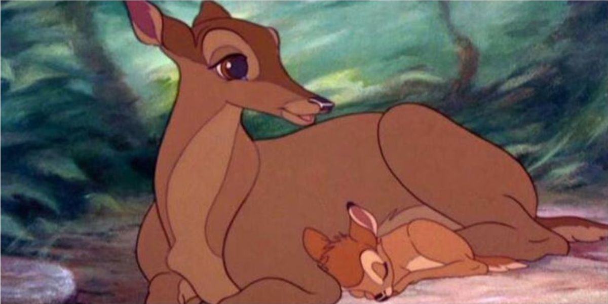 Bambi sleeps next to mom