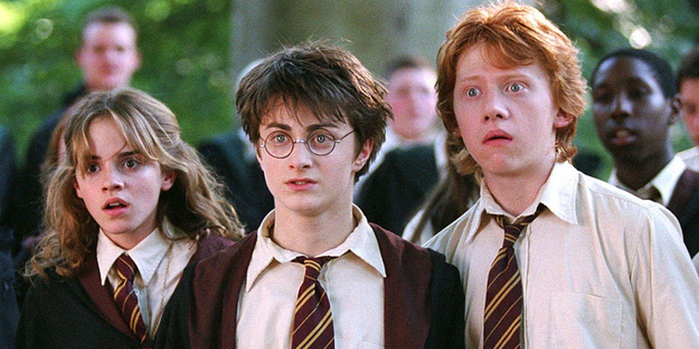 Harry Potter seems worried about Ron and Hermione.