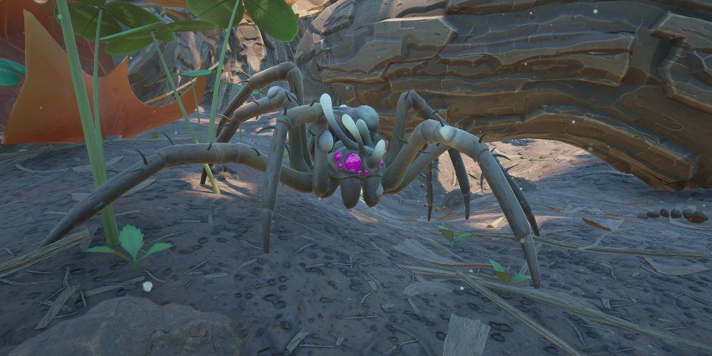 An infected tarantula can be seen in Grounded