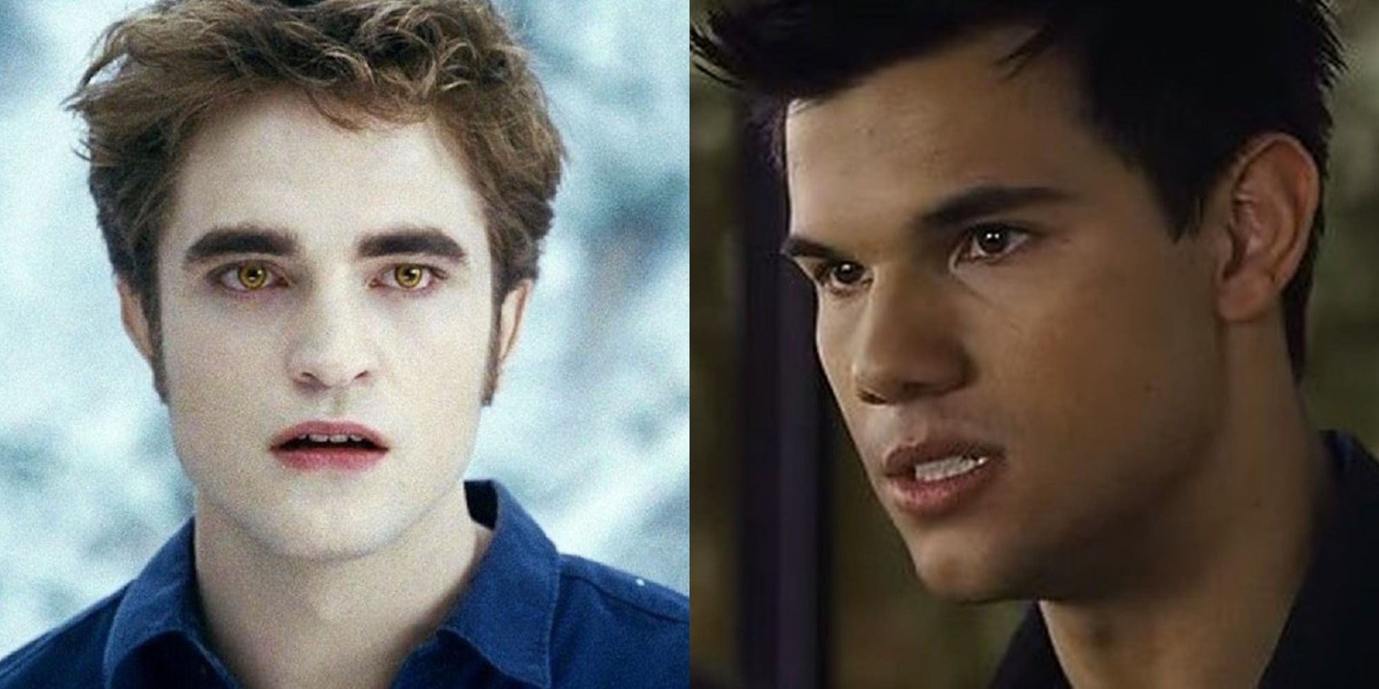 Edward and Jacob in The Twilight Saga