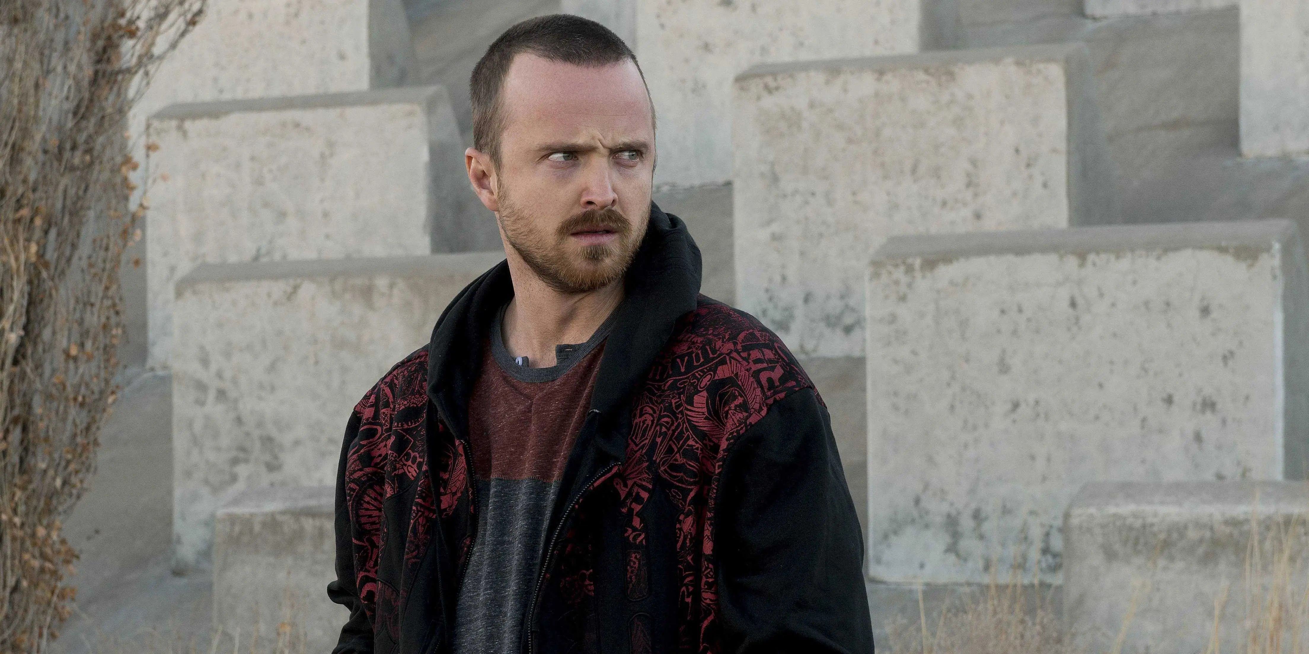 Aaron Paul as Jesse Pinkman in Breaking Bad