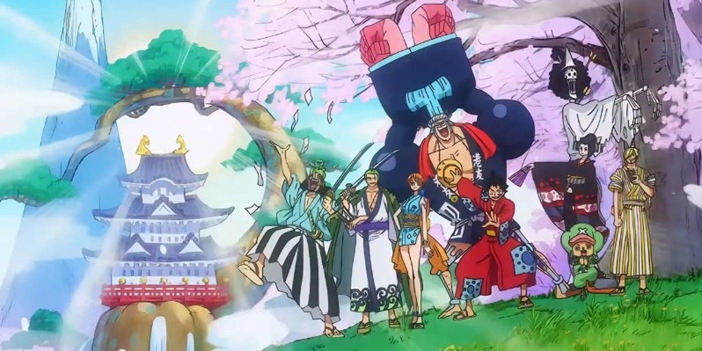 One Piece Straw Hats 22