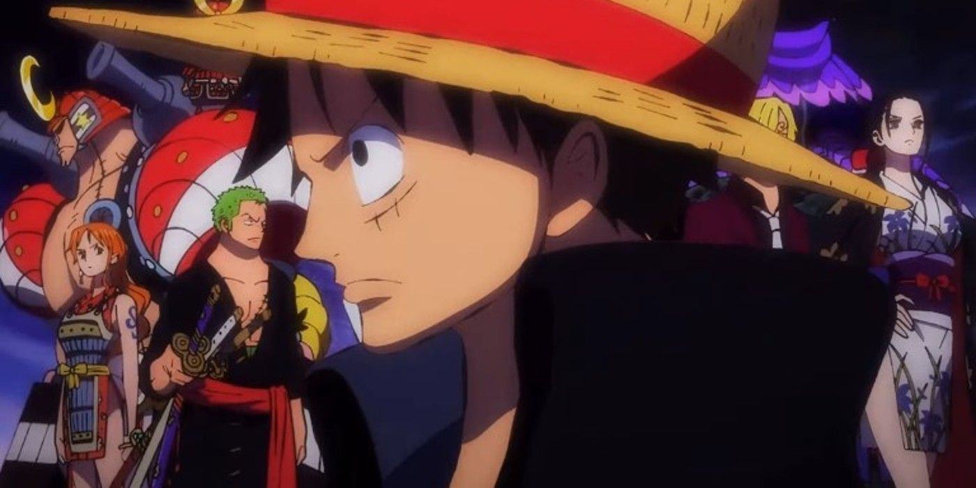 One Piece Straw Hats 24