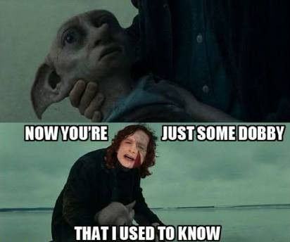 Dobby dies in harry potter meme with goiter singer's face edited with harry's face and text "Now you are just some of the Dobbys I used to know."