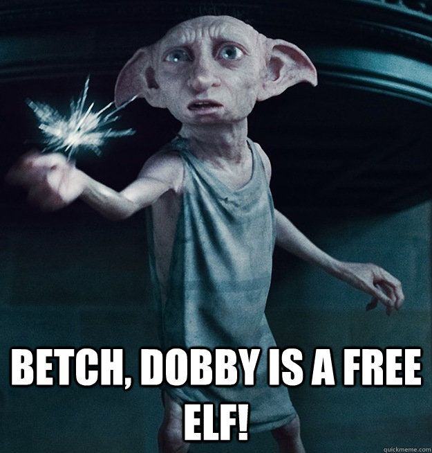 A meme showing Dobby from Harry Potter with the words "Bet, Dobby is a free elf!"