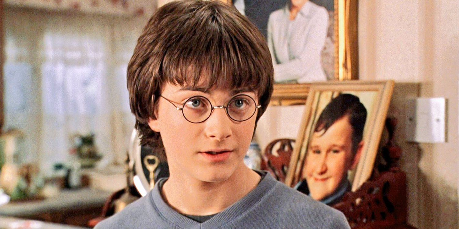 Harry Potter standing in Dursley's living room
