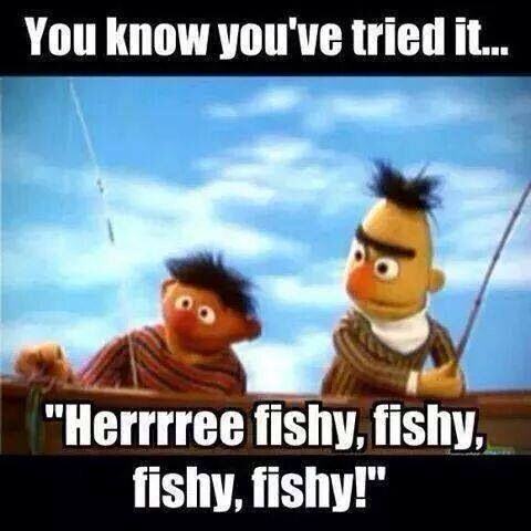 Bert and Ernie Sesame Street Memes 8