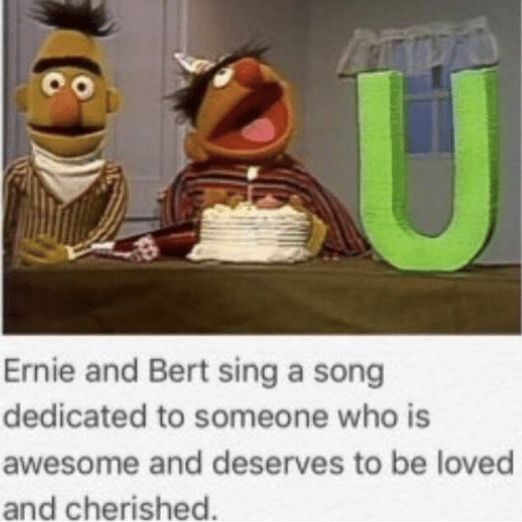 Bert and Ernie Sesame Street Memes 10
