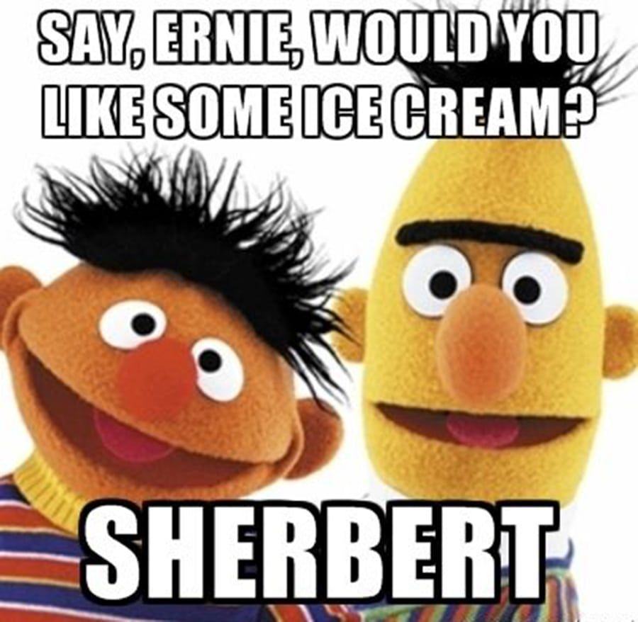 Bert and Ernie Sesame Street Meme 5