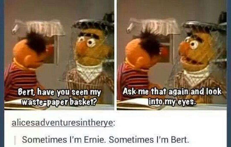 Bert and Ernie Sesame Street Memes 7