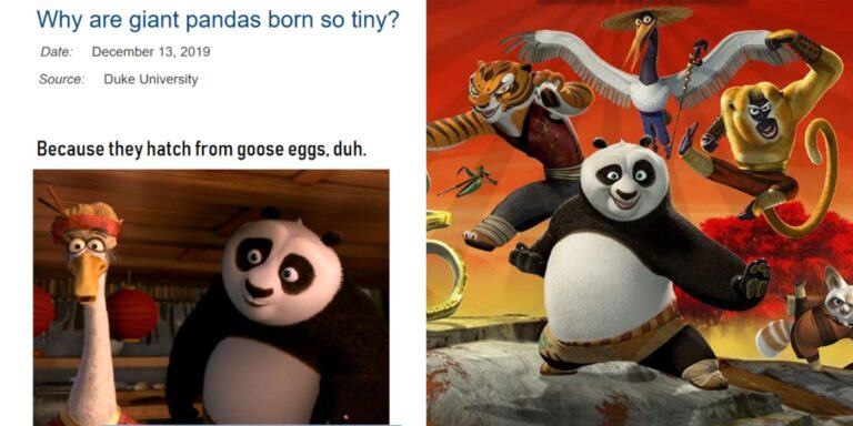 Kung Fu Panda: 10 Memes That Sum Up The Movies