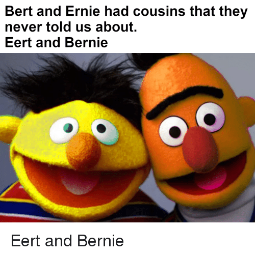 Bert and Ernie Sesame Street Memes 9