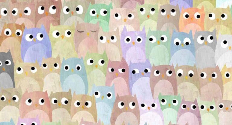 Among the owls is a cat that you have to locate in less than 10 seconds