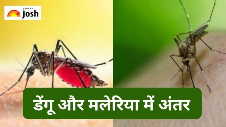 डेंगू और मलेरिया में अंतर