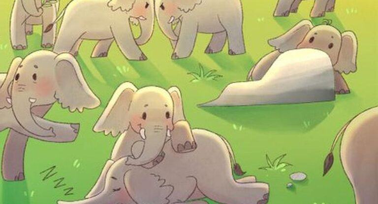 Hippo is hiding among elephants and you have 7 seconds to find it