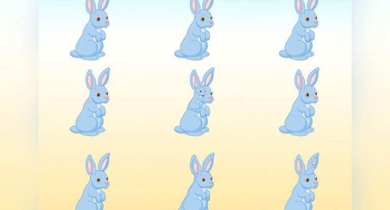 Try to recognize how many rabbits are in the picture in 11 seconds in this visual challenge