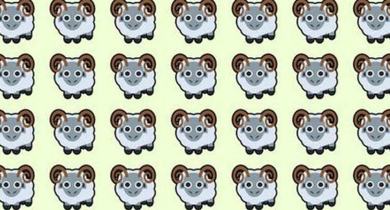 You only have 3 seconds to find the sheep and prove your vision is very good