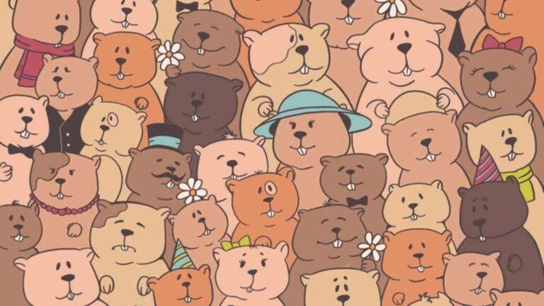Only Good IQ people can spot the Potato hidden among Bears in picture within 7 Secs?