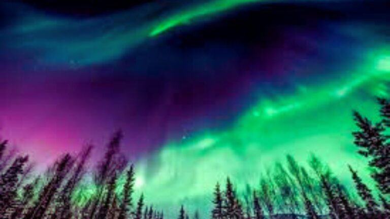 A solar storm may lead to beautiful auroras in the coming week.