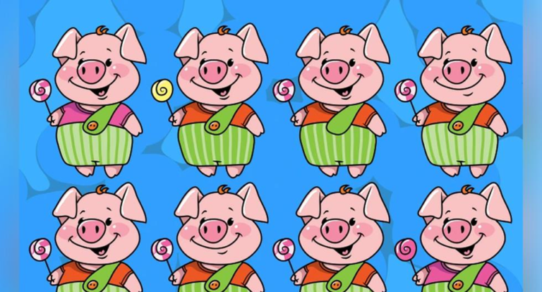 A visual challenge!  Can you find two identical pigs in this picture in 8 seconds?