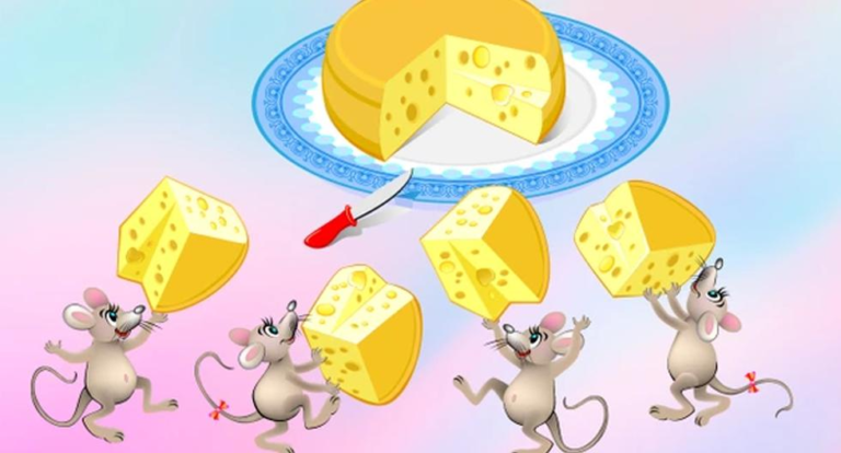 Brain Challenge: Find the mouse that took the cheese in 11 seconds