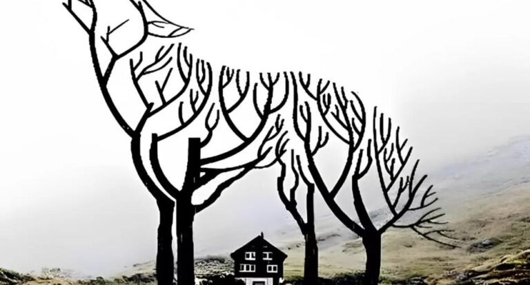Check out pictures of wolves, houses and branches: tell us what you see and find out the age of your mind