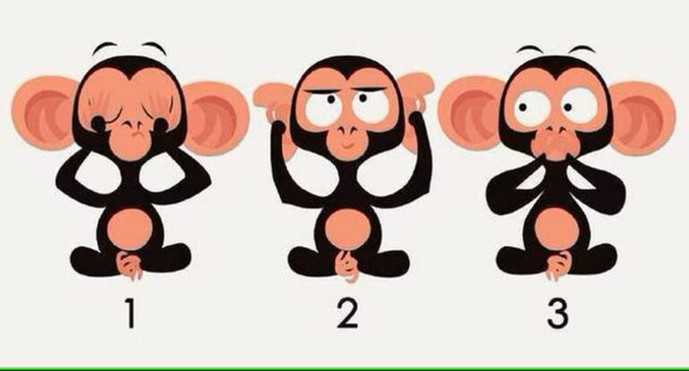 Choose one of three monkeys from the visual quiz and find out what they think of you