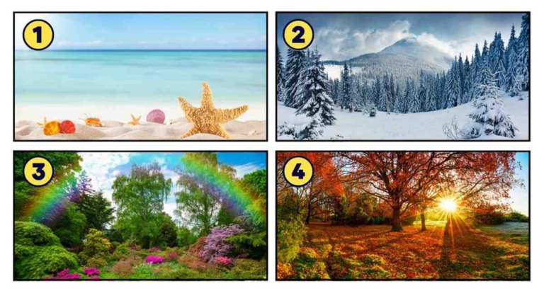 Discover your most valuable personality traits according to the season of your choice in this quiz
