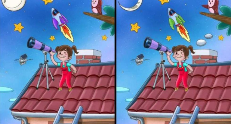 Do you have good eyesight?  Find 5 differences in pictures in just 20 seconds