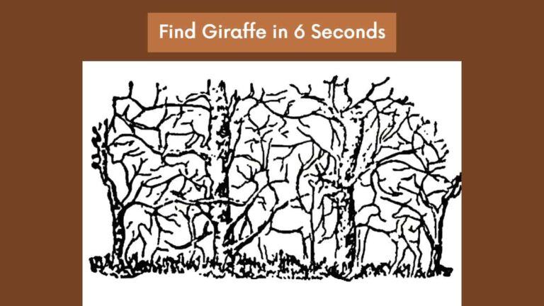 Optical Illusion - Find Giraffe in 6 Seconds