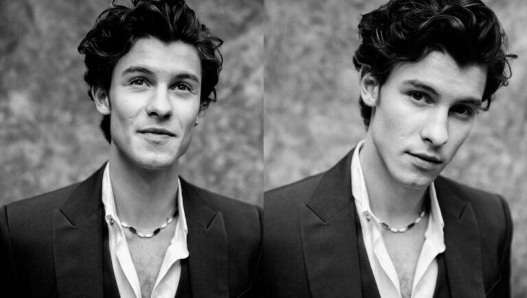 How did Shawn Mendes become famous?  All you need to know