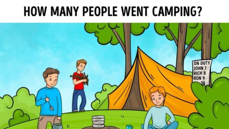 Only a Sharp Brain can spot how many People went Camping inside picture in 5 secs!