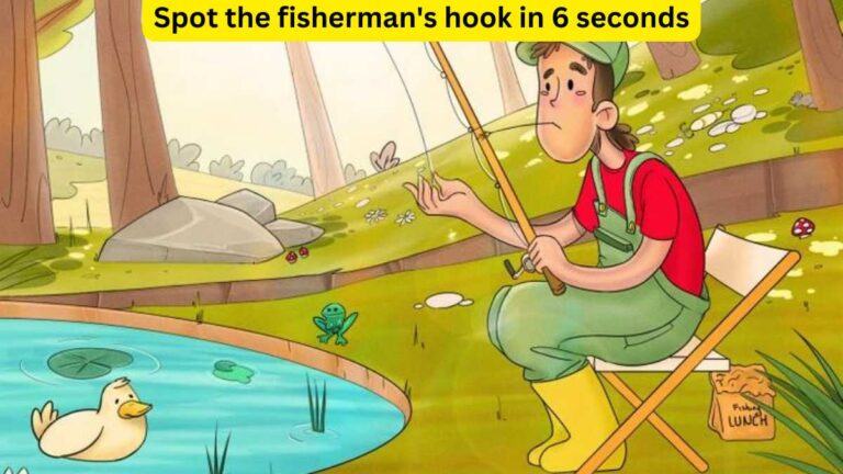 Brain Teaser- Spot the fisherman’s lost hook in 6 seconds