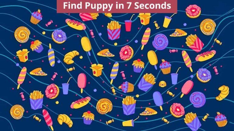 Find Puppy in 7 Seconds