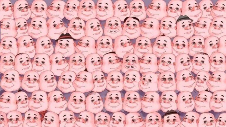 Optical Illusion - Find Pig among Faces in 5 Seconds