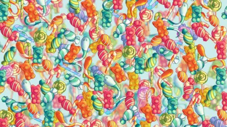 Only 5% can spot the Stuffed Bear hidden among Candies in picture within 7 secs!