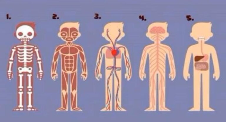 Personality test: choose the most important body part and see what it says about you